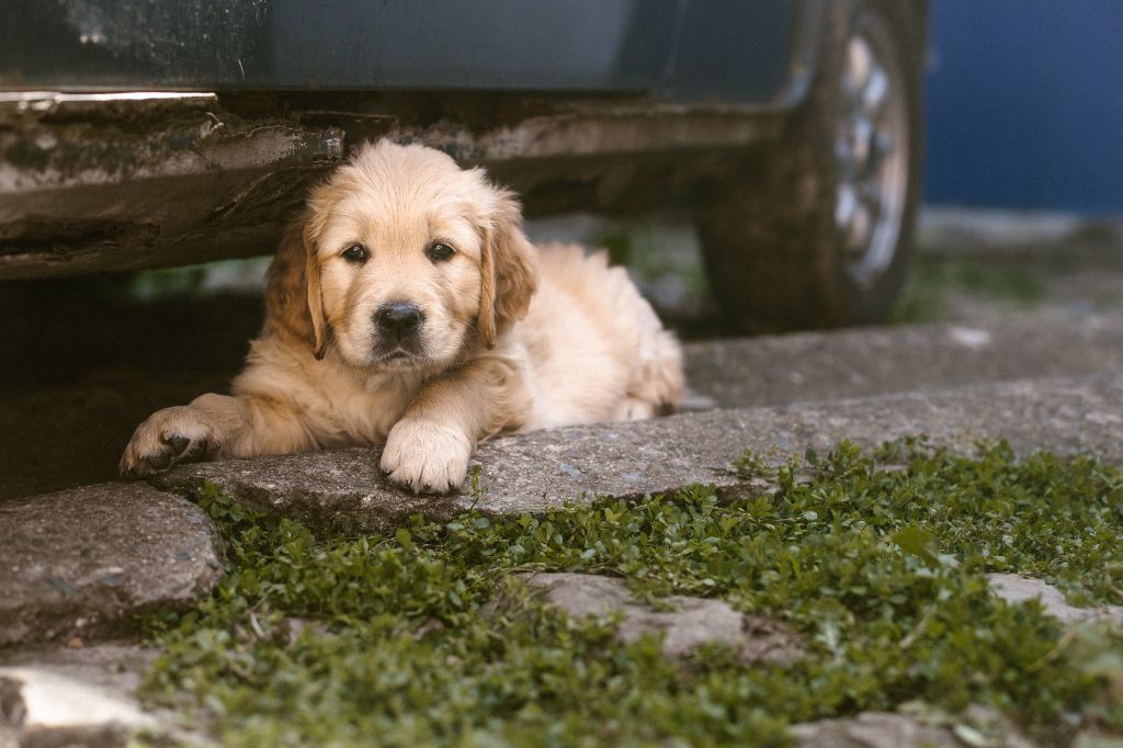 Öréo x May 2018 